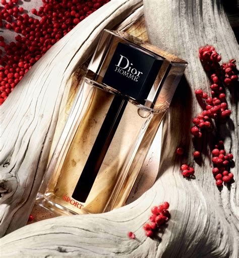 dior pret a porter femme 2021|Dior pour homme sport.